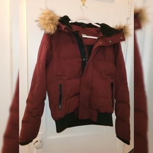 Express Maroon Winter Jacket